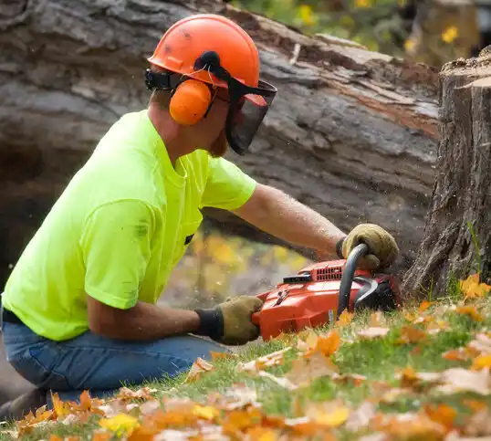 tree services Bethpage